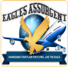 Eagles Assurgent Connexion